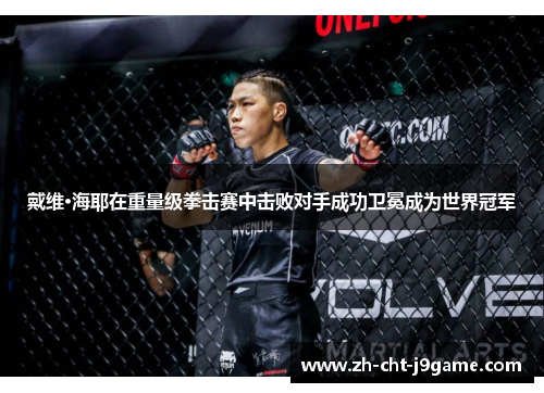 戴维·海耶在重量级拳击赛中击败对手成功卫冕成为世界冠军 戴维·海耶在重量级拳击赛中击败对手成功卫冕成为世界冠军