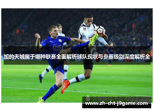 加的夫城属于哪种联赛全面解析球队现状与参赛级别深度解析全 加的夫城属于哪种联赛全面解析球队现状与参赛级别深度解析全