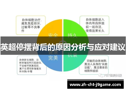 英超停摆背后的原因分析与应对建议 英超停摆背后的原因分析与应对建议